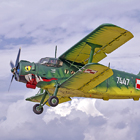 Ma�opolski piknik lotniczy, Filip Michno, X Ma�opolski Piknik Lotniczy , Muzeum lotnictwa Krak�w, Samoloty nad Krakowem, Pokazy lotnicze Krak�w, Akrobacja samolotowa, Nad Krakowem, Krak�w, Nowa Huta, Nowa huta w obiektywie, Reporta� ,Lotnisko Rakowice, 